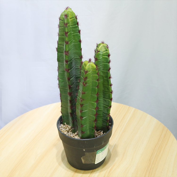 High-Quality-Faux-Greenery-Plastic-Plant-Home-Decor-Cactus (1).jpg